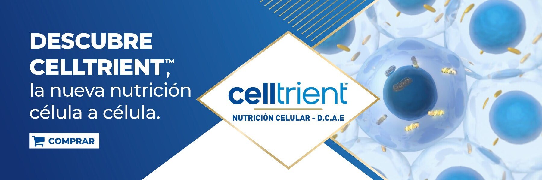 Banner Celltrient para reforzar el Sistema inmunológico