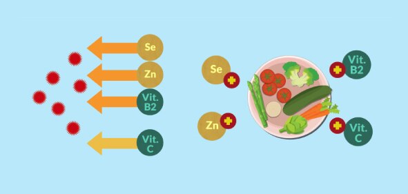 Alimentos antioxidantes