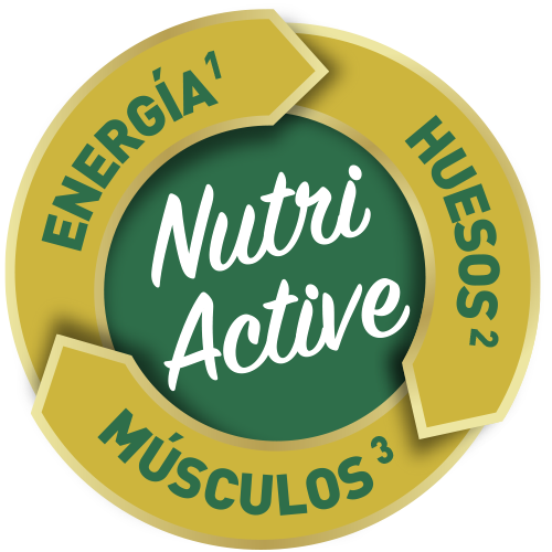 nutriactive ícono